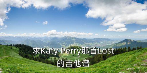 求Katy Perry那首Lost的吉他譜