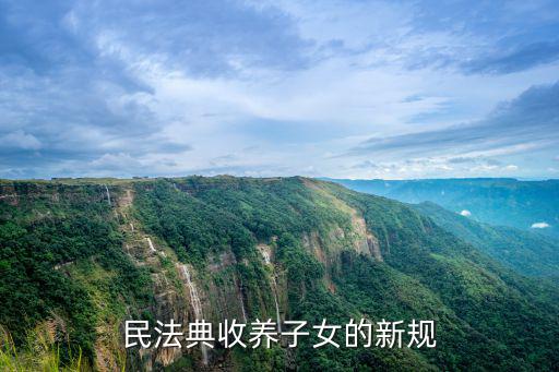 民法典收養子女的新規