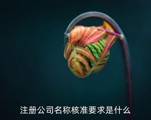 注冊(cè)公司名稱核準(zhǔn)要求是什么