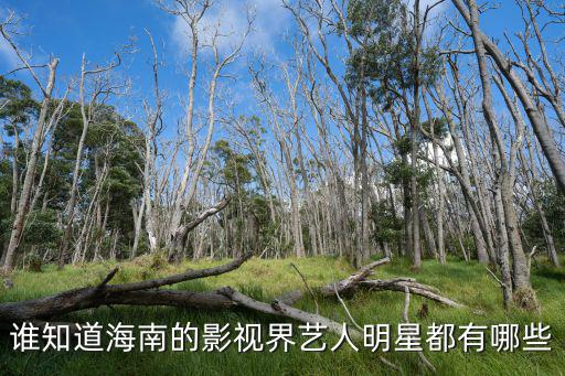 海南明星，今年過年準備去海南想知道哪些明星在海南