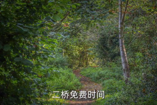 二橋，南京長江二橋