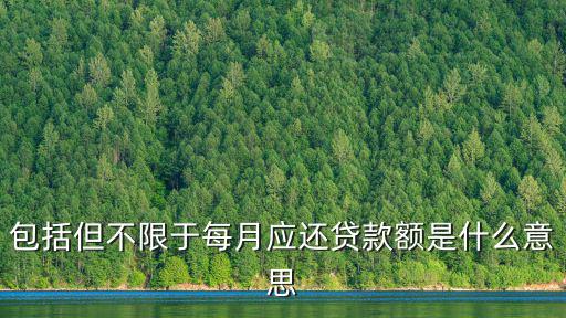 包括但不限于每月應還貸款額是什么意思