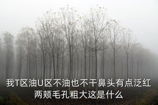 U區，化妝中常提的t區和u區是什么意思