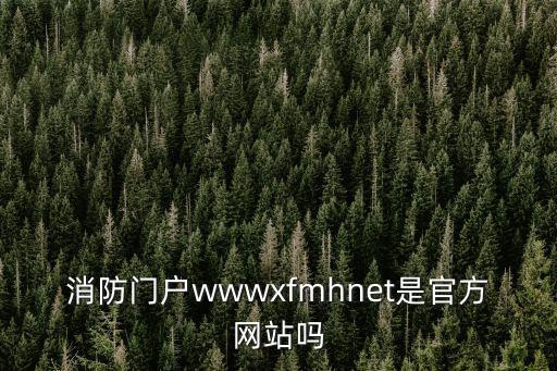 消防門(mén)戶wwwxfmhnet是官方網(wǎng)站嗎