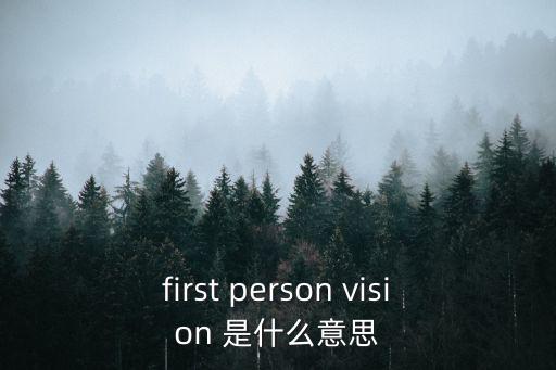 first person vision 是什么意思