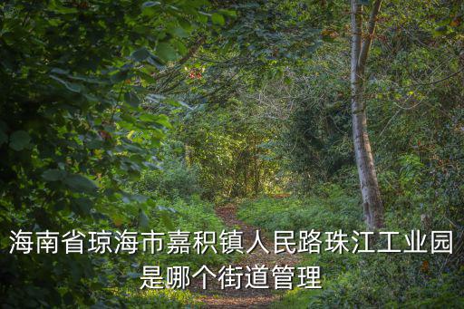 嘉積鎮，瓊海嘉積鎮共有幾條街道