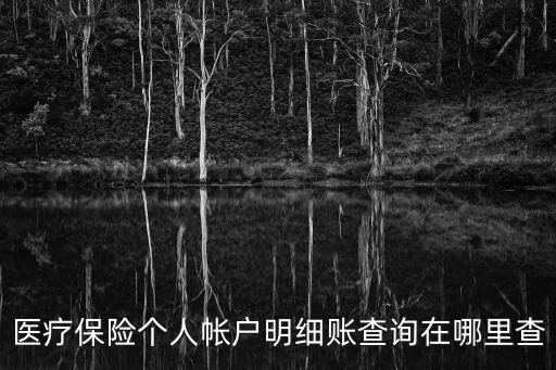 醫(yī)療保險個人帳戶明細賬查詢在哪里查