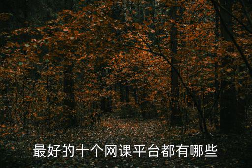 最好的十個網(wǎng)課平臺都有哪些