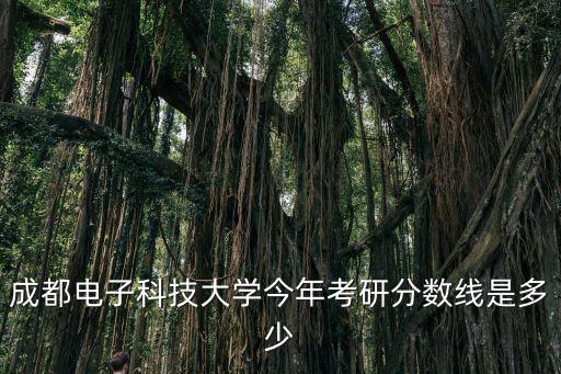 成都電子科技大學今年考研分數線是多少