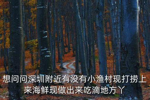 想問問深圳附近有沒有小漁村現打撈上來海鮮現做出來吃滴地方丫