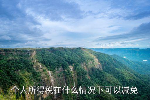 個人所得稅在什么情況下可以減免