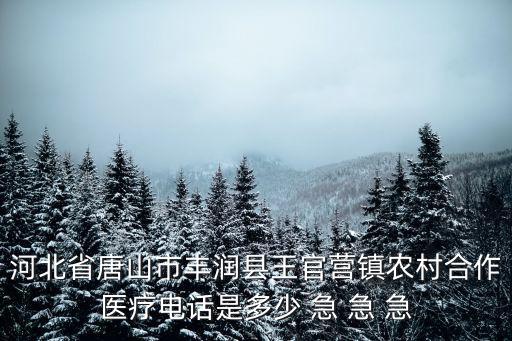 農(nóng)村合作醫(yī)療電話，河北省唐山市豐潤縣王官營鎮(zhèn)農(nóng)村合作醫(yī)療電話是多少 急 急 急