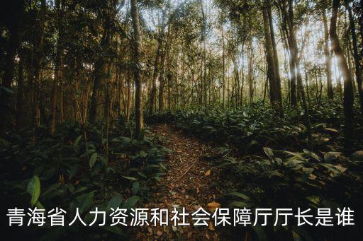 青海人社通，青海省人力資源和社會保障廳廳長是誰