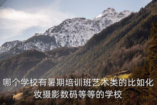 哪個學校有暑期培訓班藝術類的比如化妝攝影數碼等等的學校