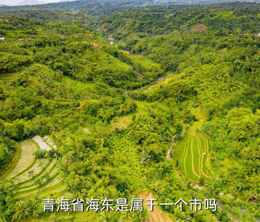 青海省海東市，青海省海東是屬于一個市嗎