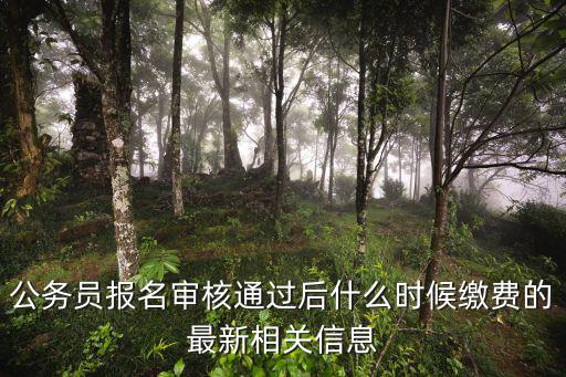 公務員報名審核通過后什么時候繳費的最新相關信息
