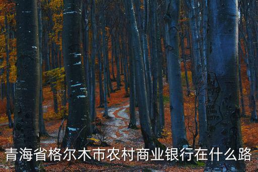青海省格爾木市農村商業銀行在什么路