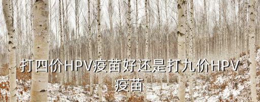 打四價(jià)HPV疫苗好還是打九價(jià)HPV疫苗