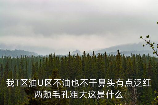 我T區油U區不油也不干鼻頭有點泛紅兩頰毛孔粗大這是什么