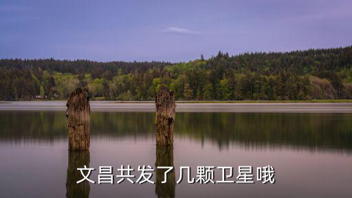 文昌共發(fā)了幾顆衛(wèi)星哦