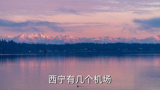 西寧有幾個機場