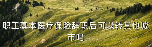 職工基本醫(yī)療保險(xiǎn)辭職后可以轉(zhuǎn)其他城市嗎