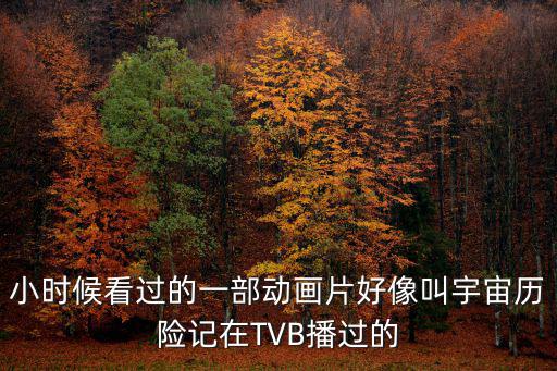 小時候看過的一部動畫片好像叫宇宙歷險記在TVB播過的