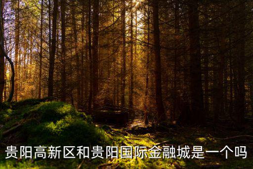 貴陽高新區和貴陽國際金融城是一個嗎