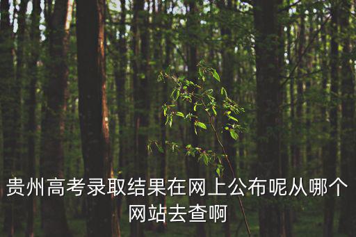 貴州高考錄取結果在網上公布呢從哪個網站去查啊