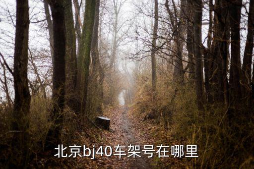 北京bj40車架號在哪里