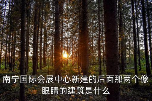 南寧國際會展中心新建的后面那兩個像眼睛的建筑是什么
