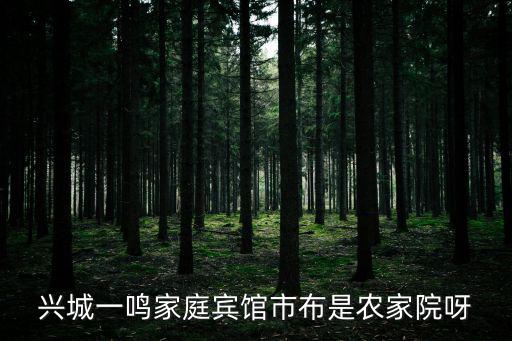 興城一鳴家庭賓館市布是農家院呀