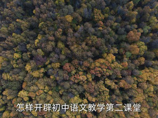 怎樣開(kāi)辟初中語(yǔ)文教學(xué)第二課堂