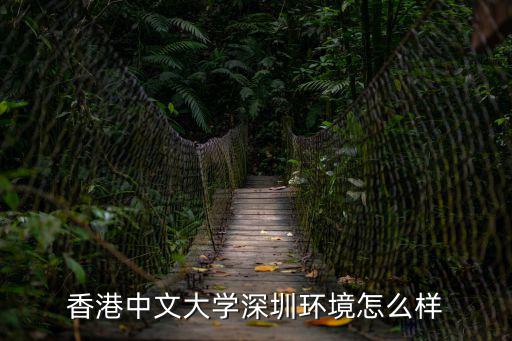 香港中文大學(xué)深圳環(huán)境怎么樣