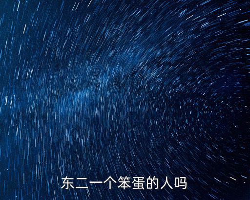東二一個笨蛋的人嗎