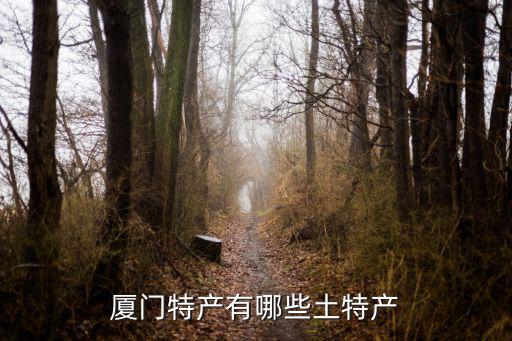 廈門特產有哪些土特產