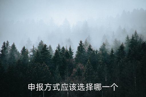 申報方式應該選擇哪一個