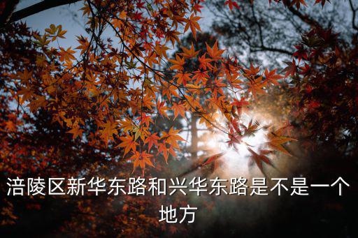 涪陵區(qū)新華東路和興華東路是不是一個(gè)地方