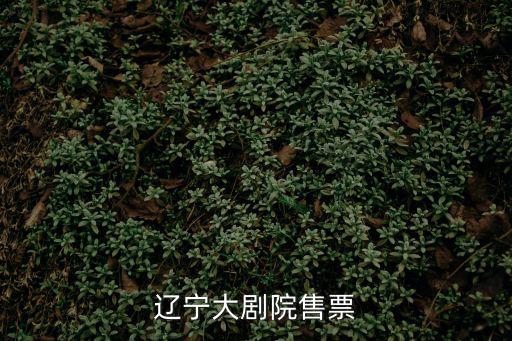 遼寧大劇院，遼寧大劇院售票