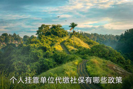 個人掛靠單位代繳社保有哪些政策