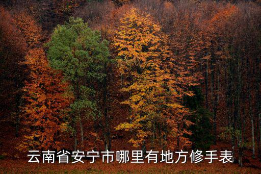 云南省安寧市哪里有地方修手表