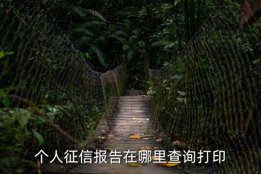 個人征信報告在哪里查詢打印