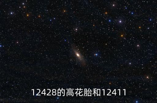12428的高花胎和12411