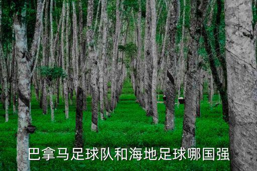 巴拿馬足球隊(duì)和海地足球哪國(guó)強(qiáng)