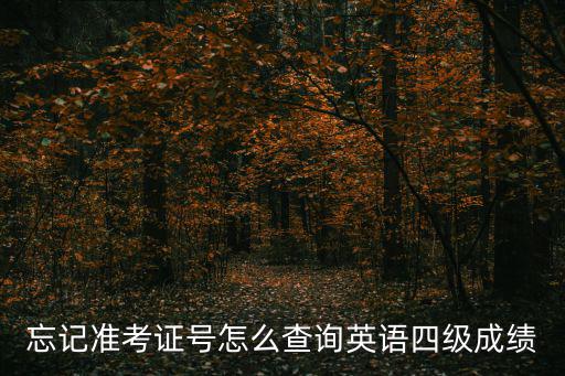 四六級查分入口，忘記準考證號怎么查詢英語四級成績