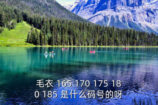 毛衣 165 170 175 180 185 是什么碼號(hào)的呀