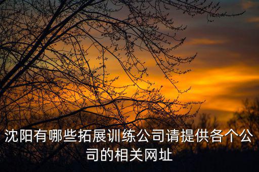 沈陽拓展訓練，沈陽有哪些拓展訓練公司請提供各個公司的相關網址