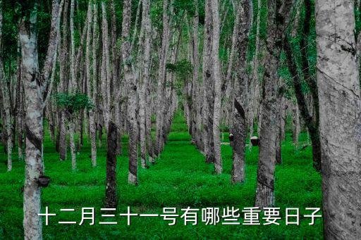 十二月三十一號有哪些重要日子