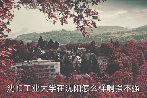 沈陽(yáng)工業(yè)大學(xué)在沈陽(yáng)怎么樣啊強(qiáng)不強(qiáng)