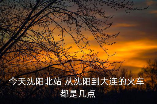 今天沈陽北站 從沈陽到大連的火車 都是幾點
